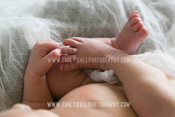 Emily Hall Photography - Owen-9756