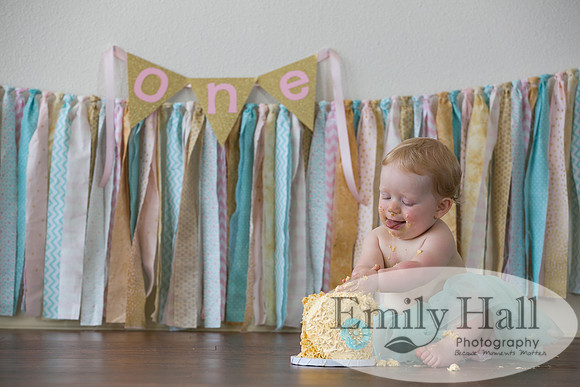 Emily Hall Photography - Charlotte - 1-3447