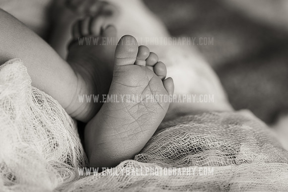 Emily Hall Photography - Owen-9759-2
