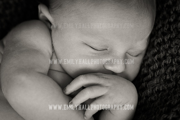 Emily Hall Photography - Owen-9805-2