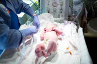 Birth-Hospital Stay-1615