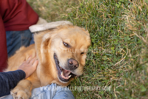 Emily Hall Photography - 2021-9020