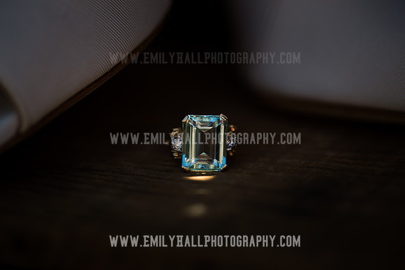 Emily Hall Photography - Koehnke Wedding-9690