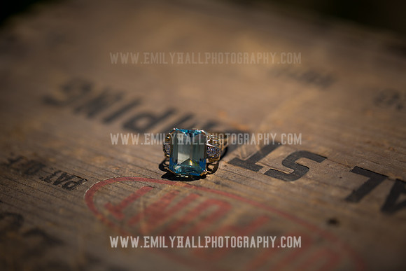 Emily Hall Photography - Koehnke Wedding-9701