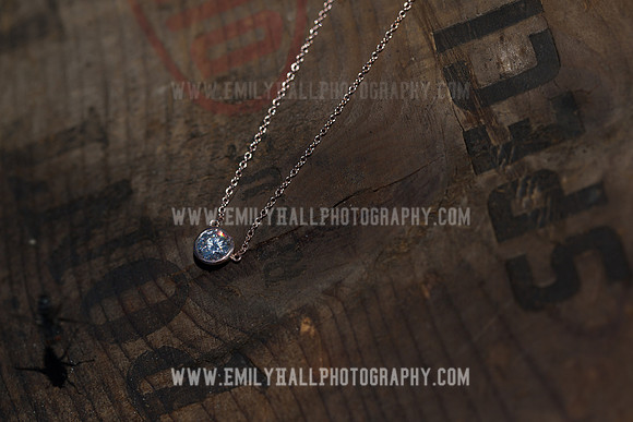 Emily Hall Photography - Koehnke Wedding-9709