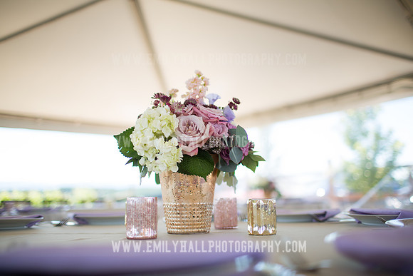 Emily Hall Photography - Koehnke Wedding-9727