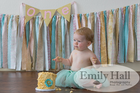 Emily Hall Photography - Charlotte - 1-3429