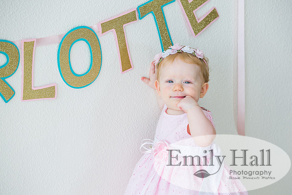 Emily Hall Photography - Charlotte - 1-3109