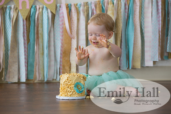 Emily Hall Photography - Charlotte - 1-3467