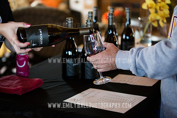 Emily Hall Photography - Preview Party-3517