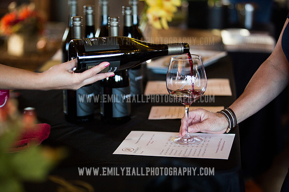 Emily Hall Photography - Preview Party-3520