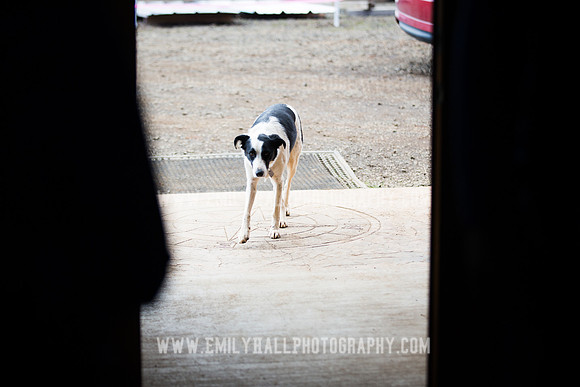 Emily Hall Photography - Preview Party-3547