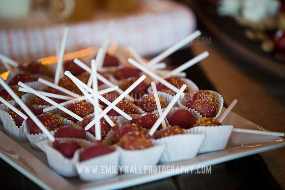 Emily Hall Photography - Preview Party-3691