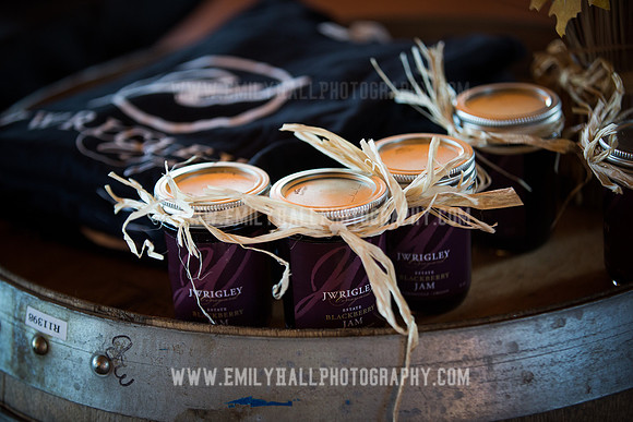 Emily Hall Photography - Preview Party-3705