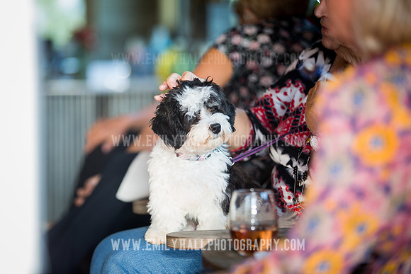 Emily Hall Photography - Preview Party-3712