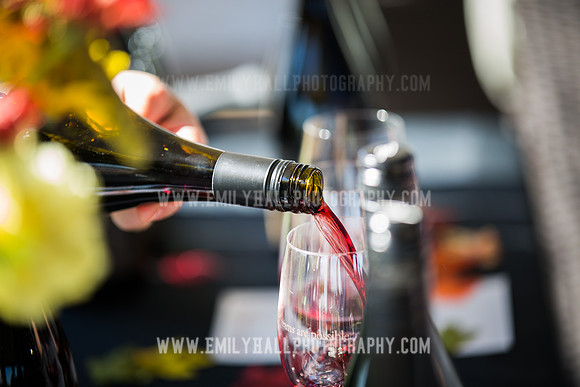 Emily Hall Photography - Preview Party-3724