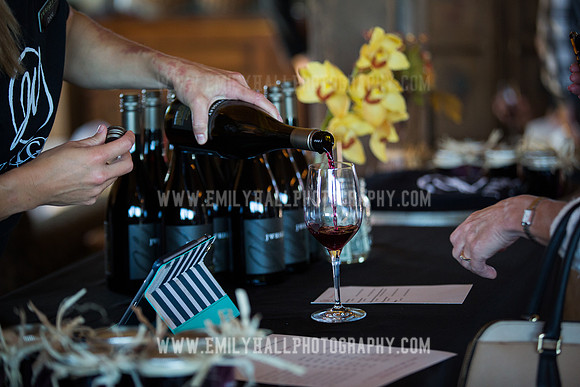 Emily Hall Photography - Preview Party-3762