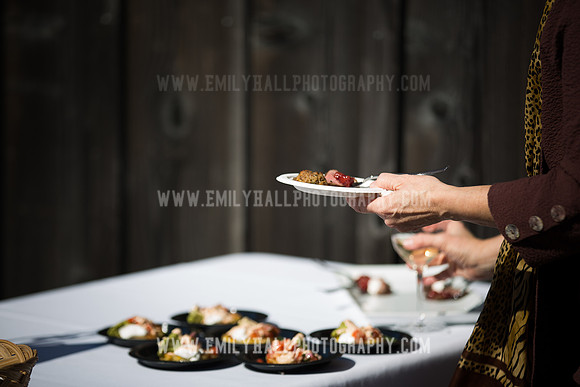 Emily Hall Photography - Preview Party-3764