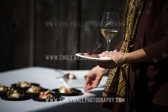 Emily Hall Photography - Preview Party-3765