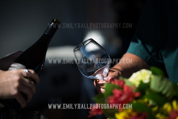 Emily Hall Photography - Preview Party-3791