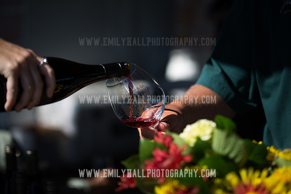 Emily Hall Photography - Preview Party-3793