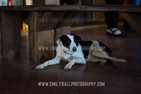 Emily Hall Photography - Preview Party-3821