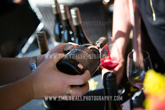 Emily Hall Photography - Preview Party-3849