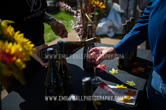 Emily Hall Photography - Preview Party-3864