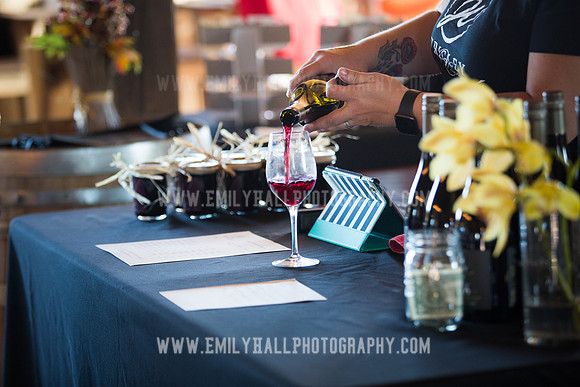 Emily Hall Photography - Preview Party-3885