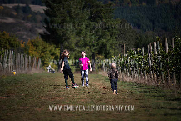 Emily Hall Photography - Preview Party-3906