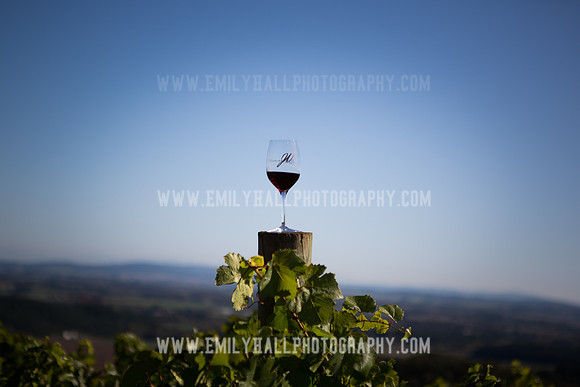 Emily Hall Photography - Preview Party-3950