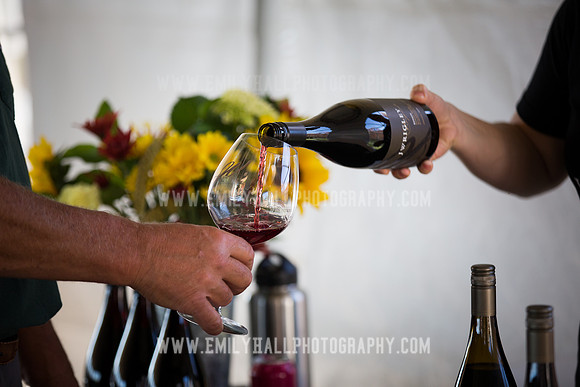 Emily Hall Photography - Preview Party-3978