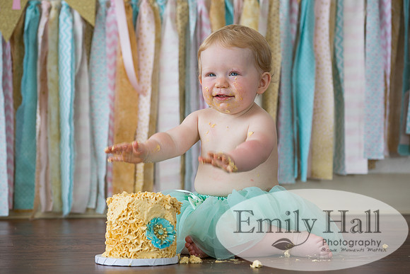 Emily Hall Photography - Charlotte - 1-3464