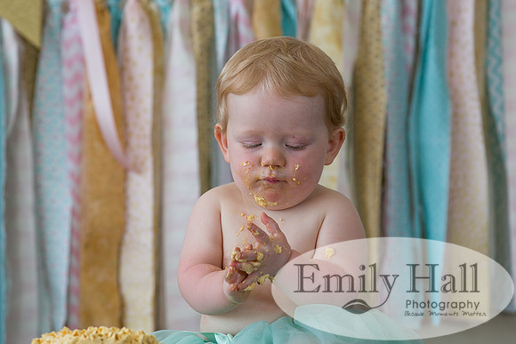 Emily Hall Photography - Charlotte - 1-3438