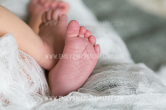 Emily Hall Photography - Owen-9759