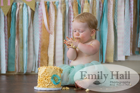 Emily Hall Photography - Charlotte - 1-3456