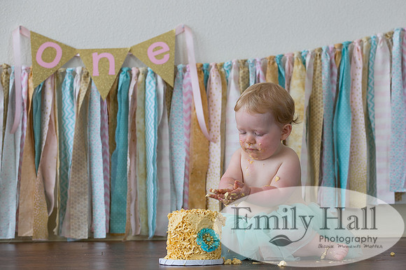 Emily Hall Photography - Charlotte - 1-3442