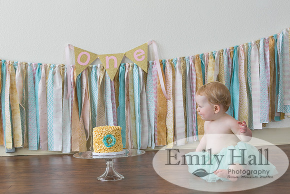 Emily Hall Photography - Charlotte - 1-3361