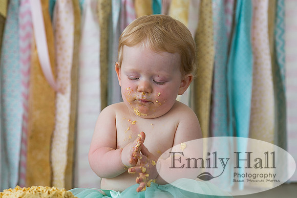 Emily Hall Photography - Charlotte - 1-3440