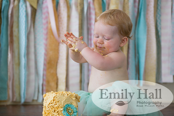Emily Hall Photography - Charlotte - 1-3459