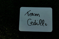 CEDILLO