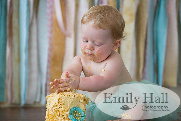 Emily Hall Photography - Charlotte - 1-3458