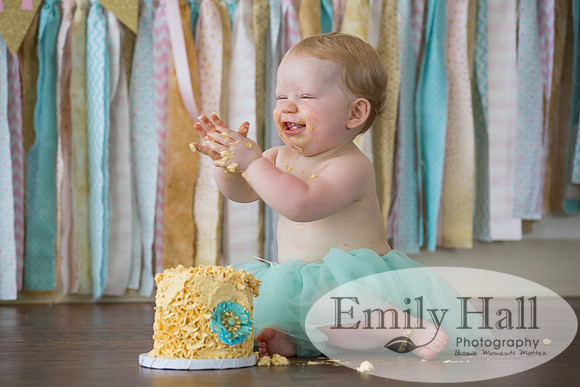Emily Hall Photography - Charlotte - 1-3460