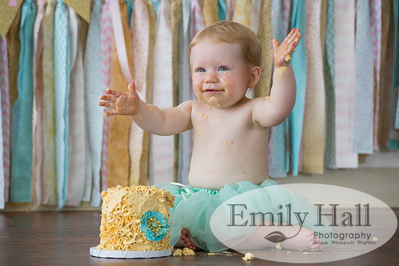 Emily Hall Photography - Charlotte - 1-3465