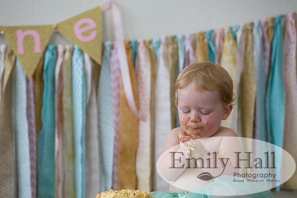 Emily Hall Photography - Charlotte - 1-3437