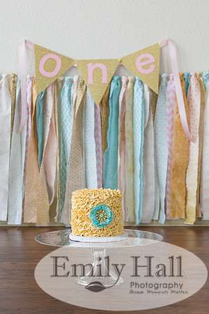 Emily Hall Photography - Charlotte - 1-3359