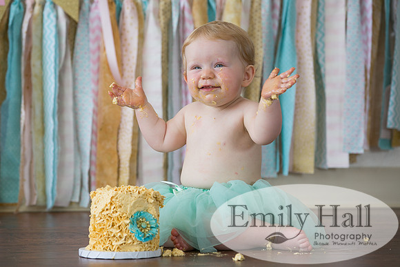Emily Hall Photography - Charlotte - 1-3463