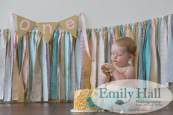 Emily Hall Photography - Charlotte - 1-3443