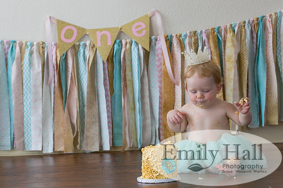 Emily Hall Photography - Charlotte - 1-3375