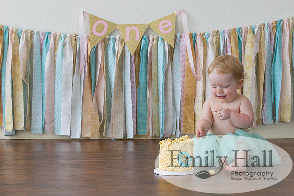 Emily Hall Photography - Charlotte - 1-3370